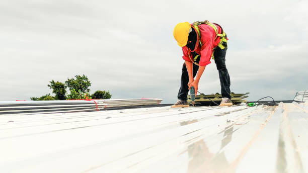 Best Gutter Installation and Repair  in Midway South, TX