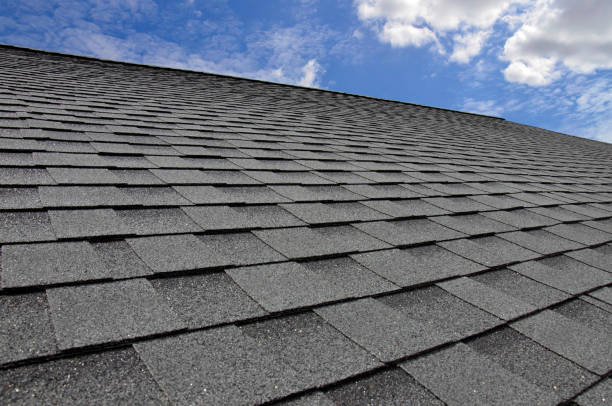 Best Roof Moss and Algae Removal  in Midway South, TX