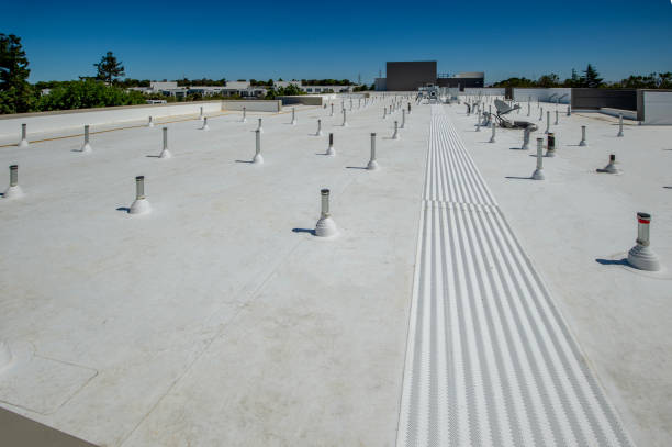 Best Roof Moss and Algae Removal  in Midway South, TX